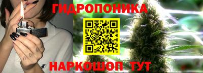 винт Можга