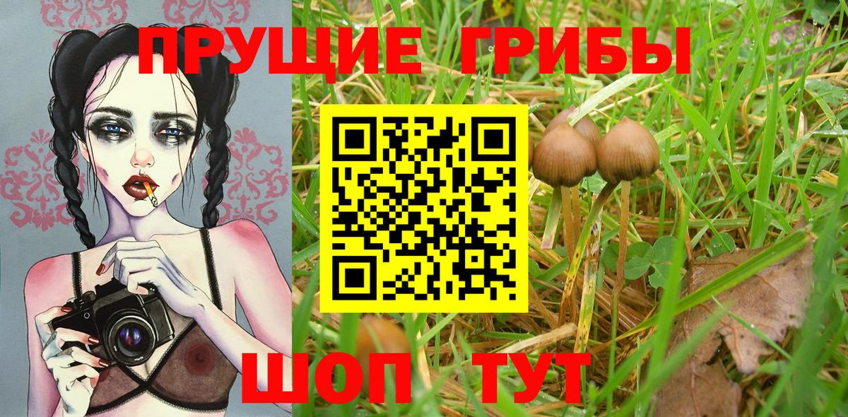Псилоцибиновые грибы Magic Shrooms Ступино