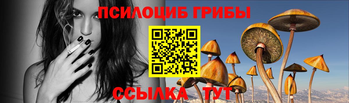 Галлюциногенные грибы мухоморы  Вход с VPN  Галлюциногенные грибы GOLDEN TEACHER  Ступино 